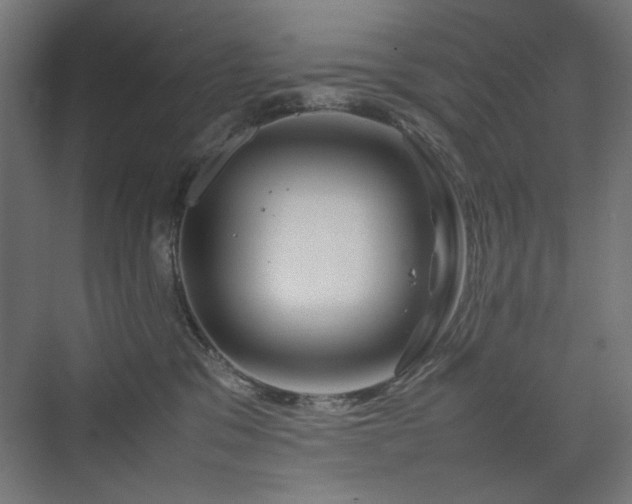 X0000074210329200608251109