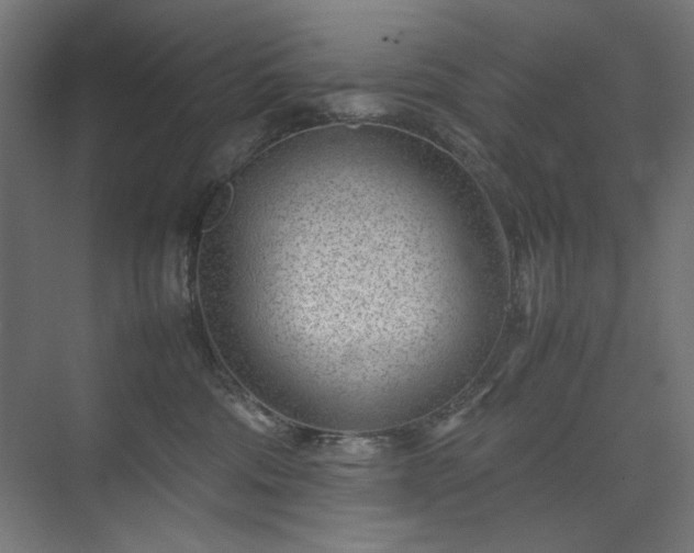 X0000074210330200608251109