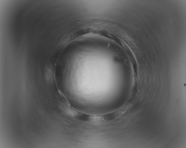 X0000074210333200608251109