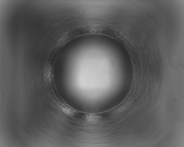 X0000074210336200608251109