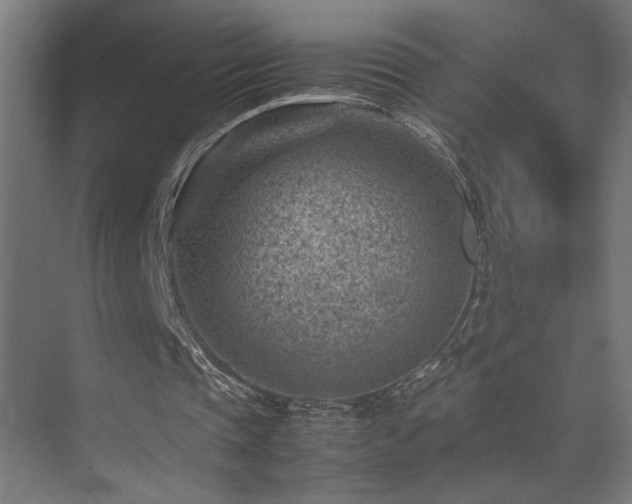 X0000074210337200608251108