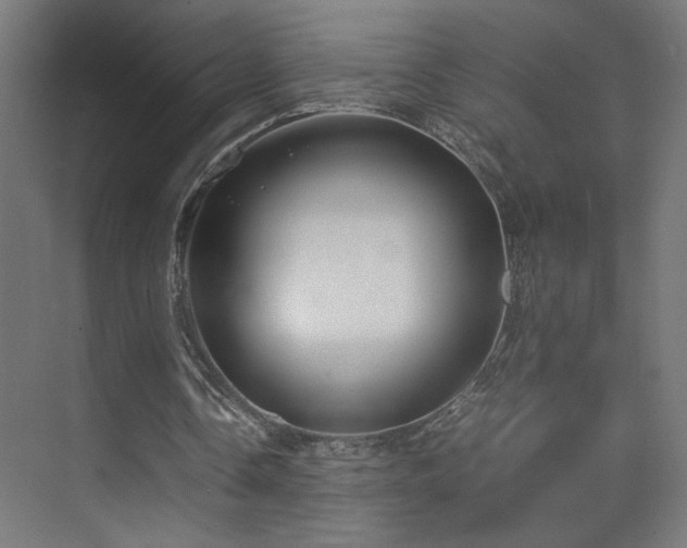 X0000074210338200608251108