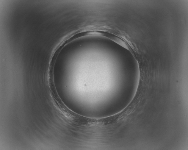 X0000074210340200608251108