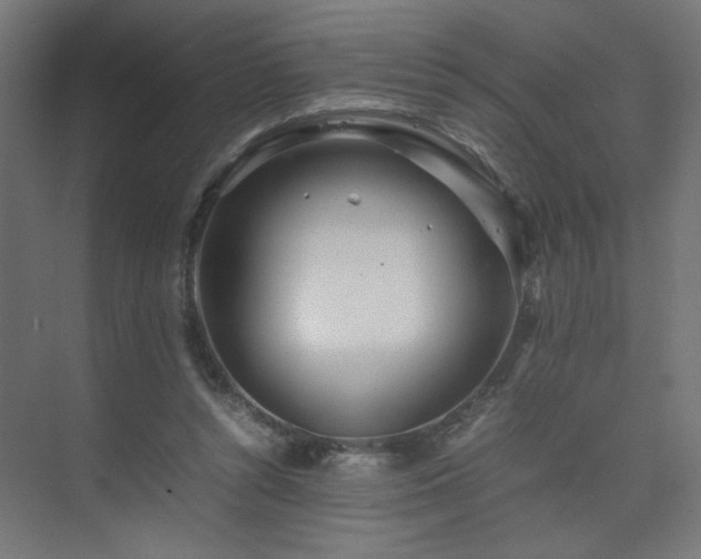 X0000074210352200608251109