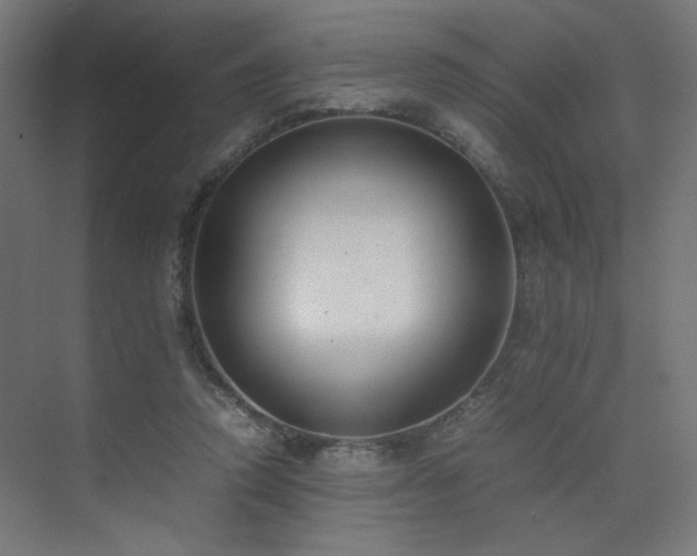 X0000074210354200608251109