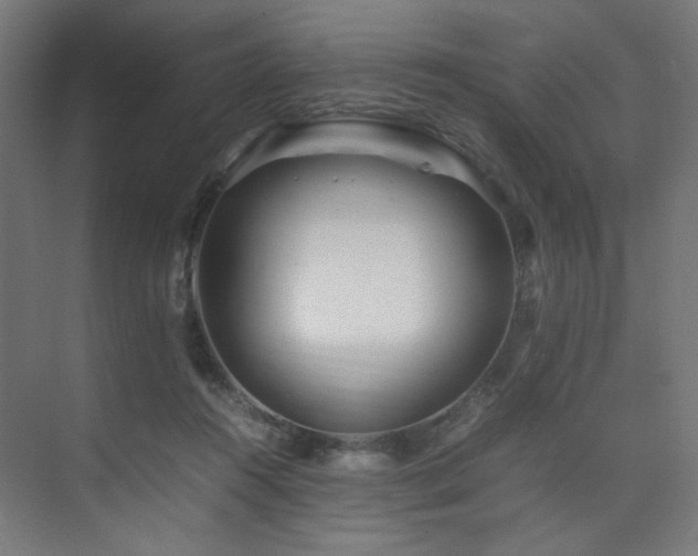 X0000074210360200608251109