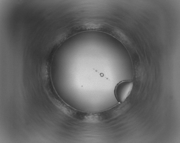 X0000074210362200608251109