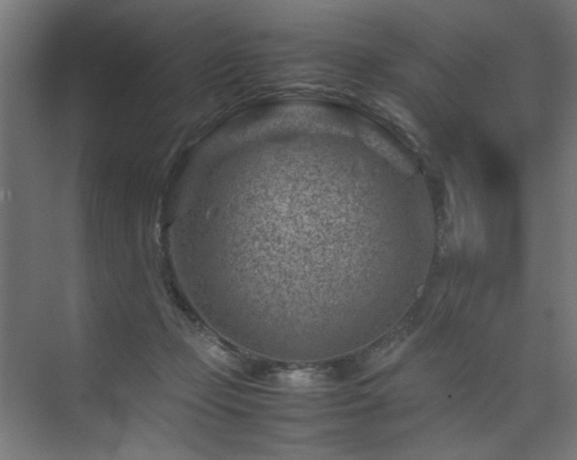 X0000074210365200608251109