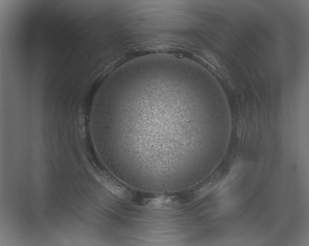 X0000074210366200608251109