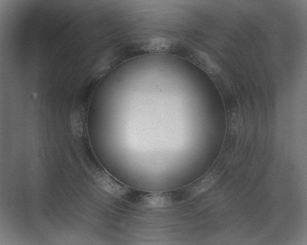 X0000074210370200608251109