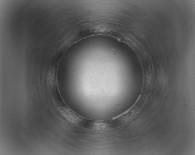 X0000074210376200608251109