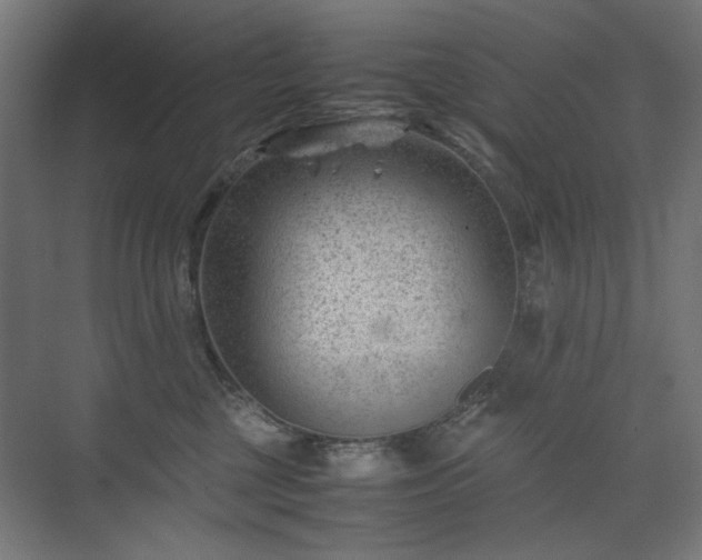 X0000074210377200608251109