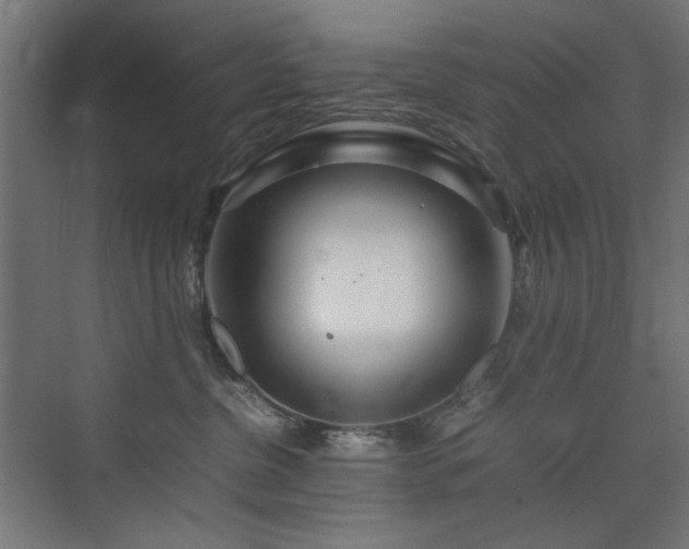 X0000074210380200608251109