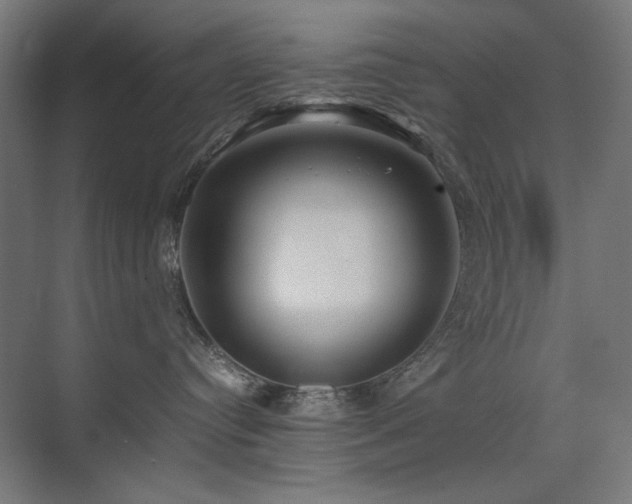 X0000074210384200608251109