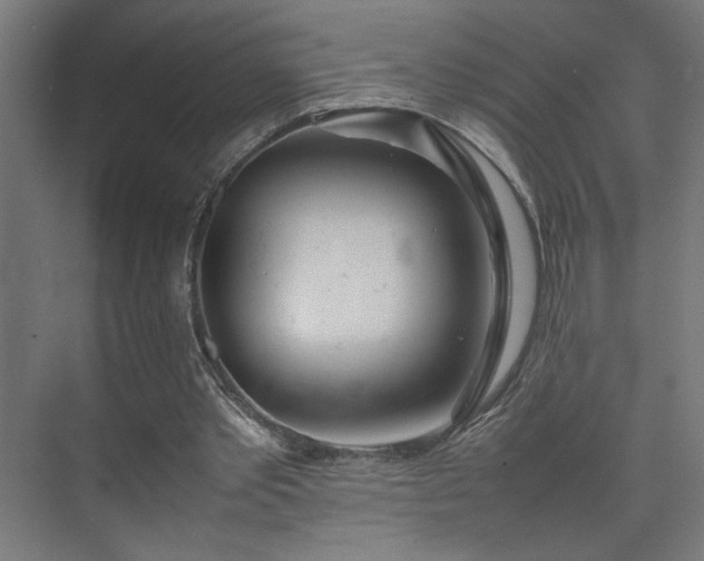 X0000074210389200608251108