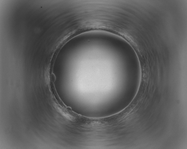 X0000074210390200608251108