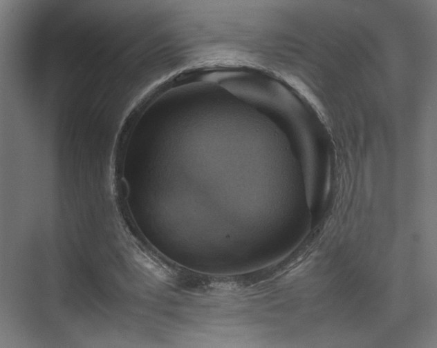 X0000074210391200608251108