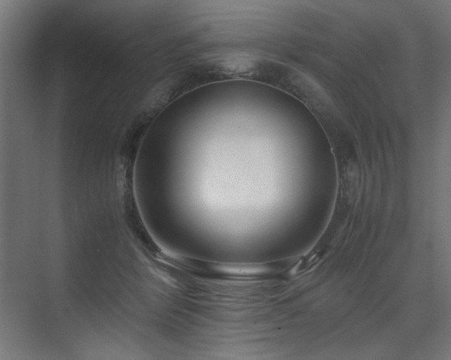 X0000074210412200608251108