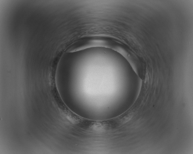 X0000074210416200608251108