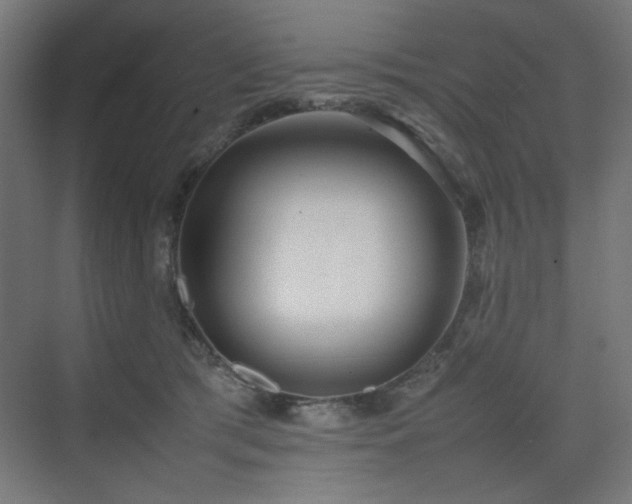X0000074210417200608251108
