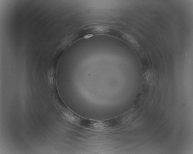 X0000074210423200608251108