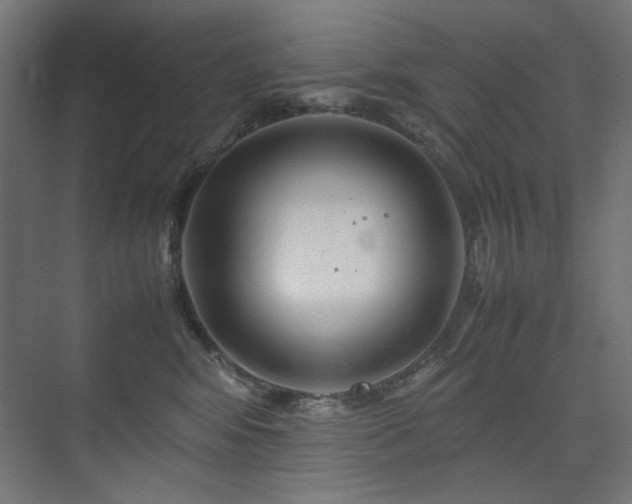 X0000074210424200608251108