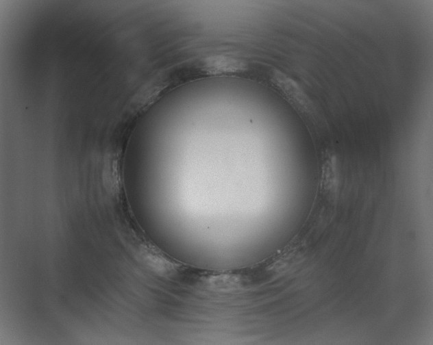X0000074210426200608251108