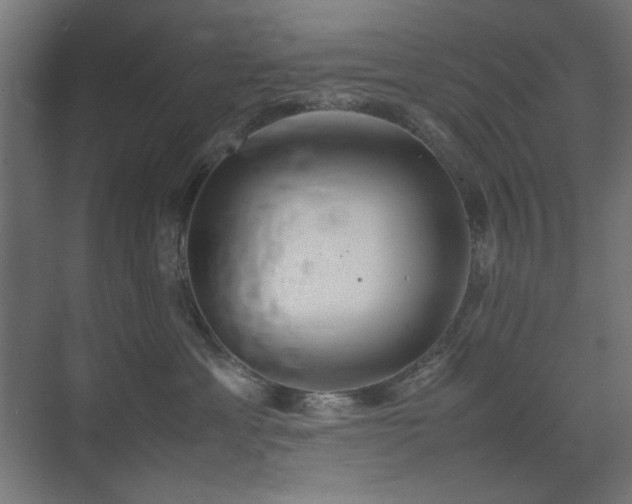 X0000074210429200608251107