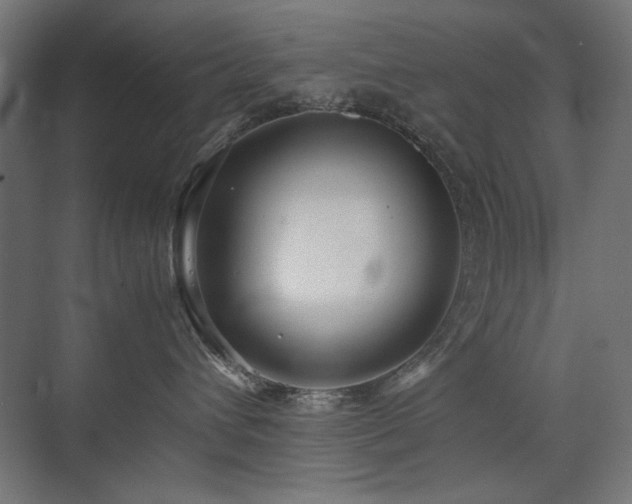 X0000074210432200608251107