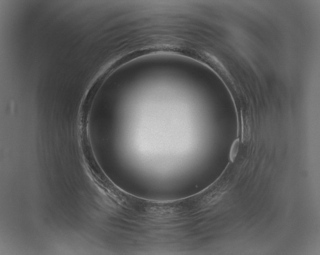 X0000074210435200608251107