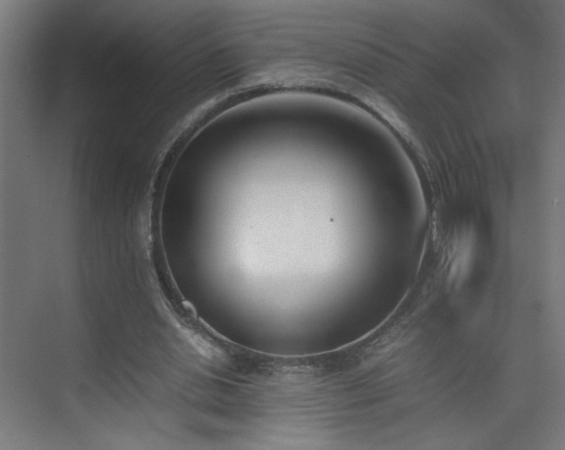 X0000074210438200608251107