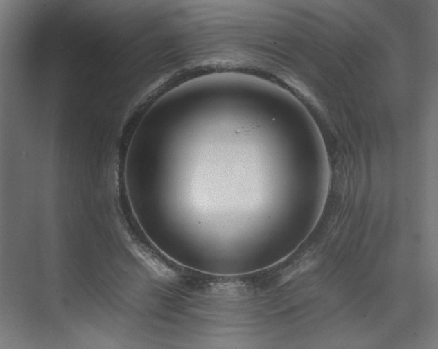 X0000074210446200608251107