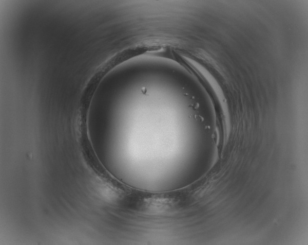 X0000074210448200608251107