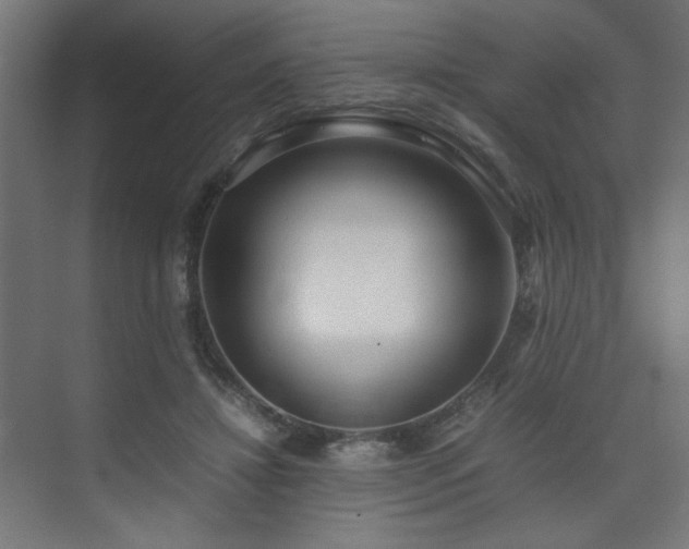 X0000074210452200608251107