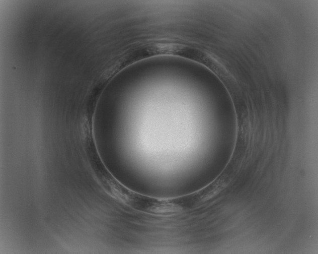X0000074210459200608251107