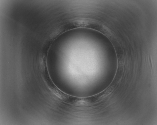 X0000074210460200608251107