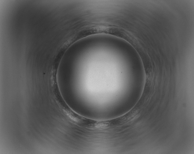X0000074210462200608251107