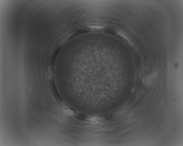 X0000074210467200608251107