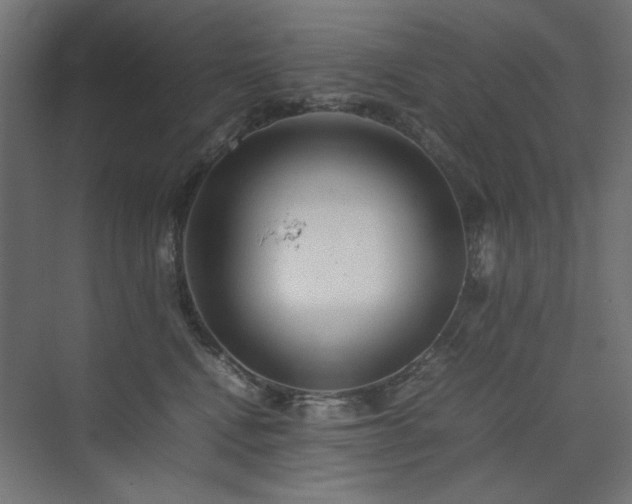 X0000074210472200608251107