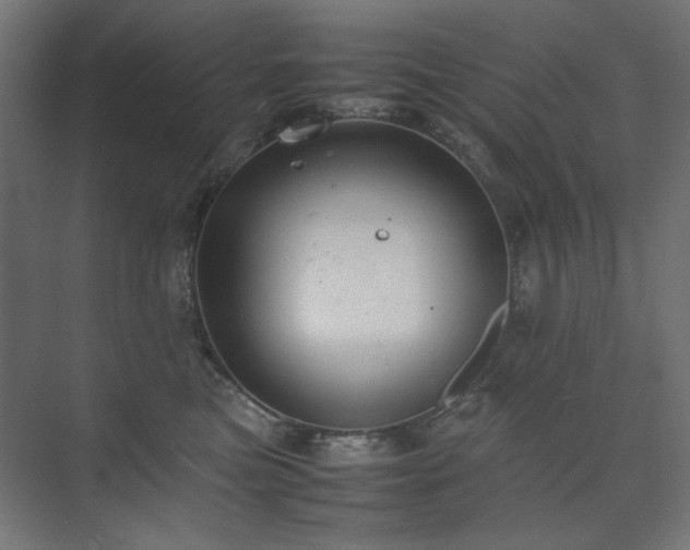 X0000074210473200608251107