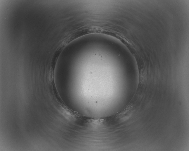 X0000074210474200608251107