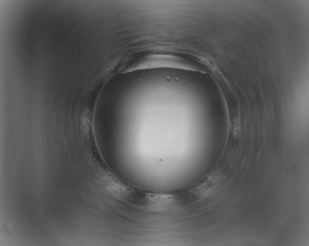 X0000074210476200608251107