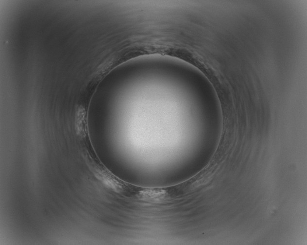X0000074210480200608251107