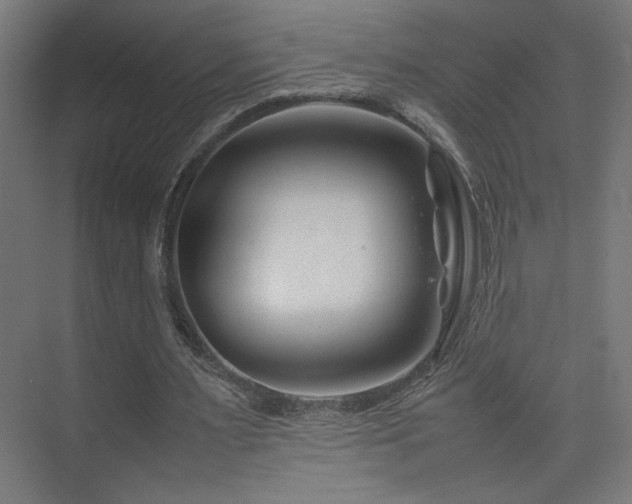 X0000074210483200608251107