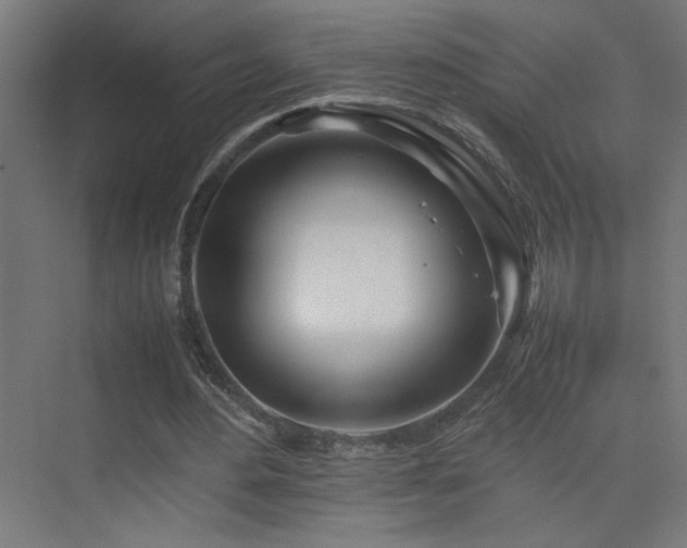 X0000074210484200608251107
