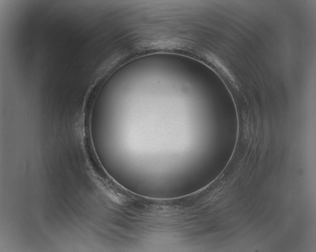 X0000074210486200608251107