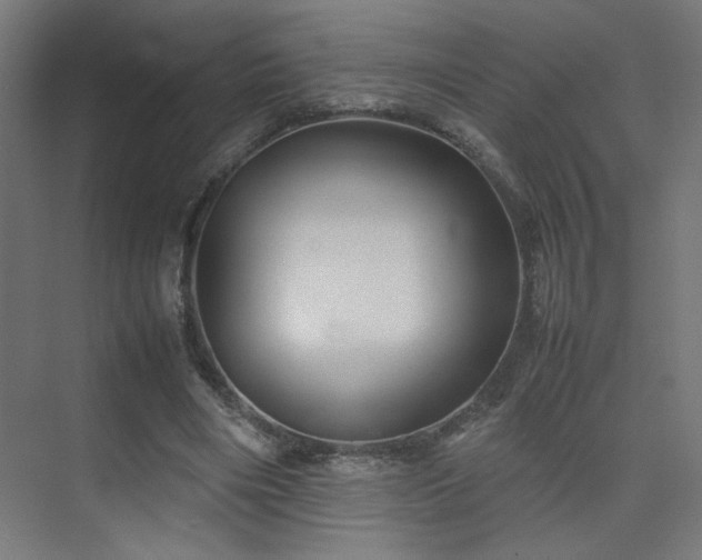 X0000074210490200608251106