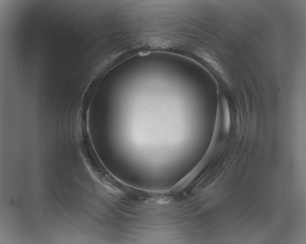 X0000074210492200608251106