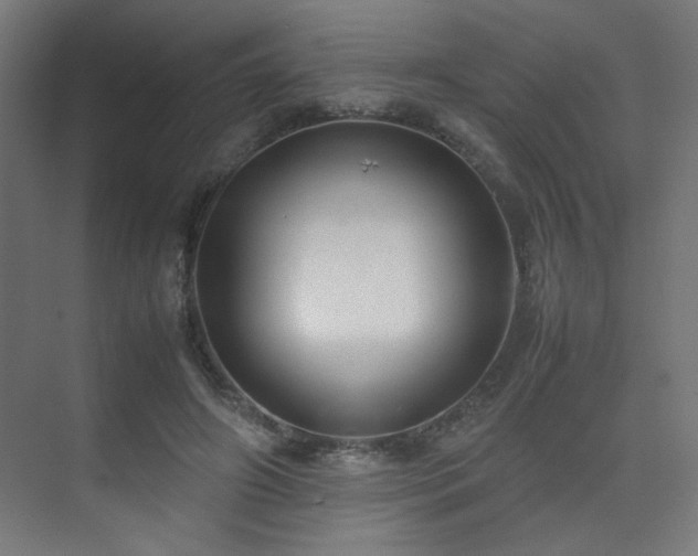 X0000074210498200608251106