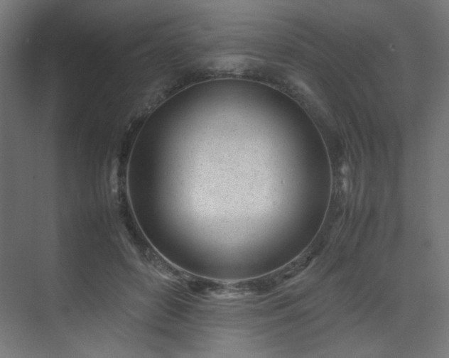X0000074210504200608251106